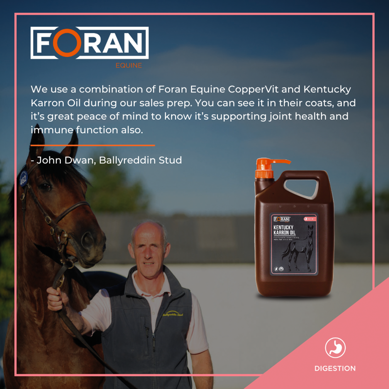 Foran Equine Kentucky Karron Oil 4.54L-1