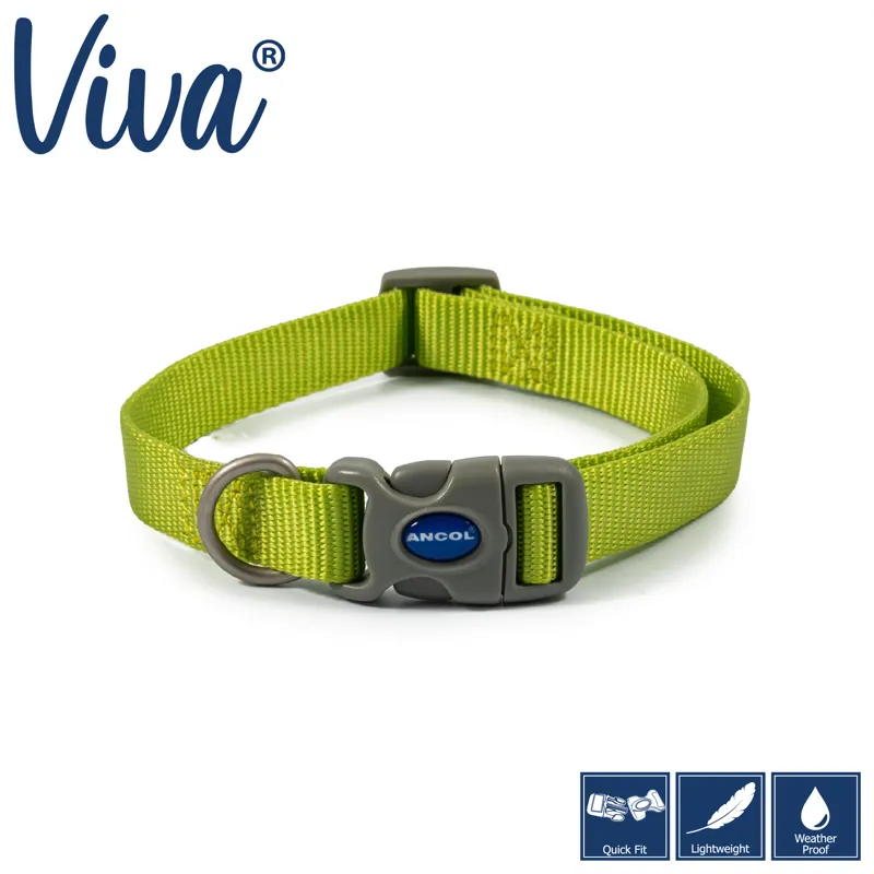 Ancol Viva Adjustable Collar Lime