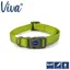 Ancol Viva Adjustable Collar Lime