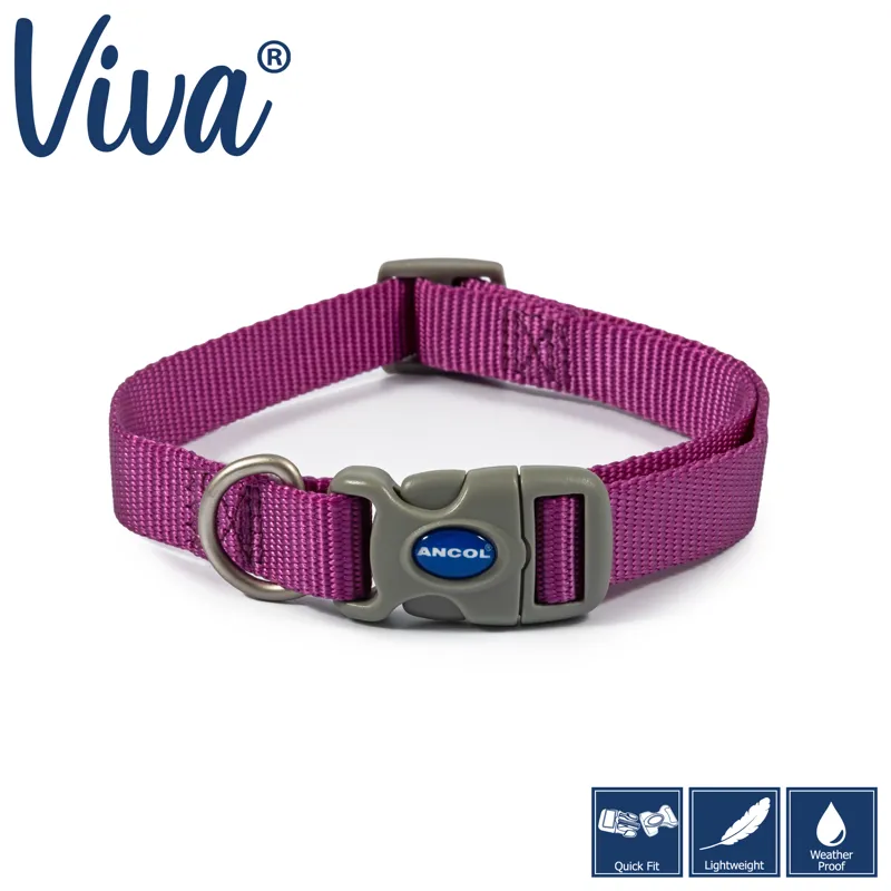 Ancol Viva Adjustable Collar Purple