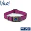 Ancol Viva Adjustable Collar Purple