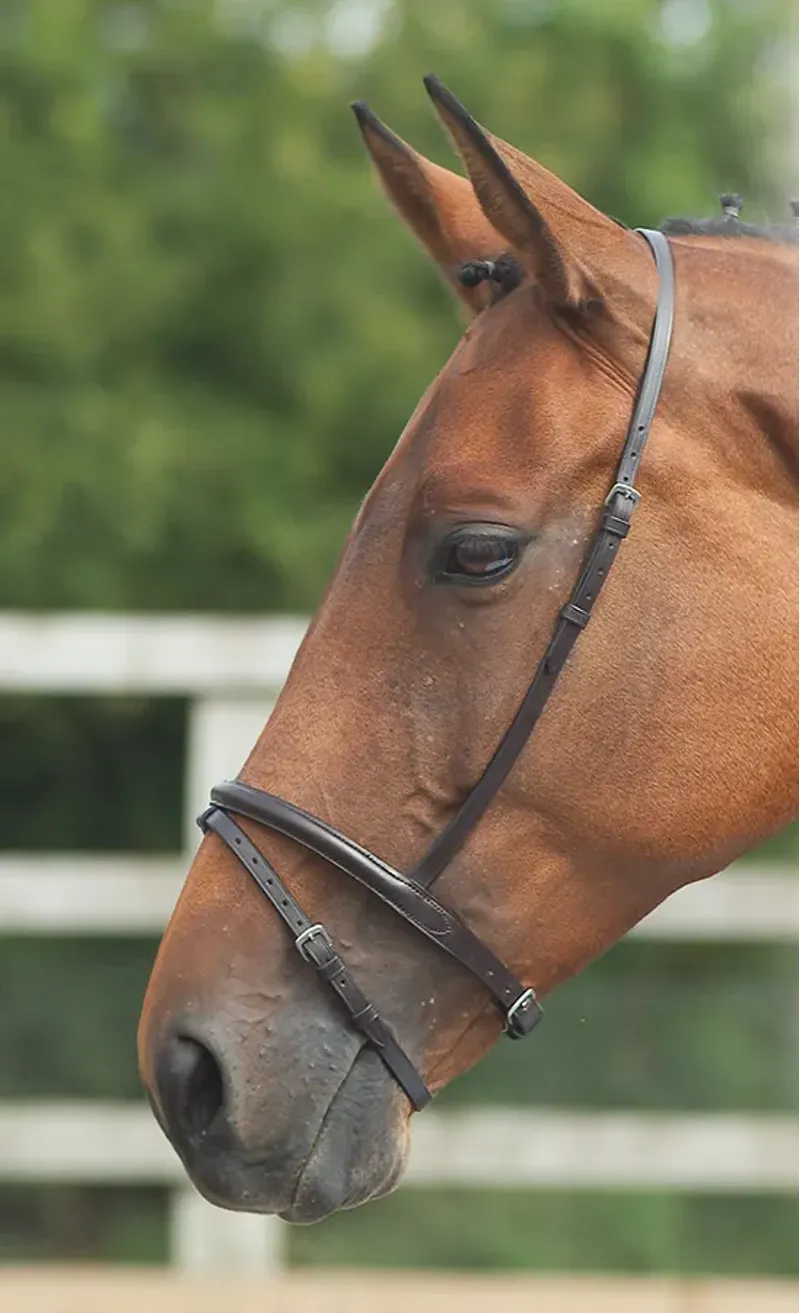 Velociti GARA Flash Noseband BLACK
