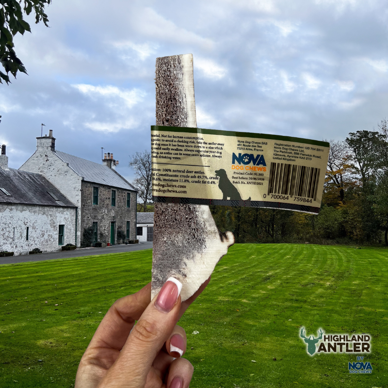 Highland Split Deer Antler Large -1