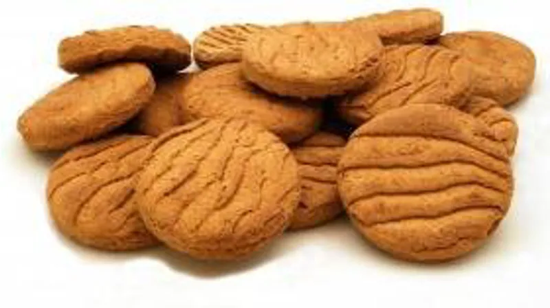 Pointer Ovalis Biscuits 10kg