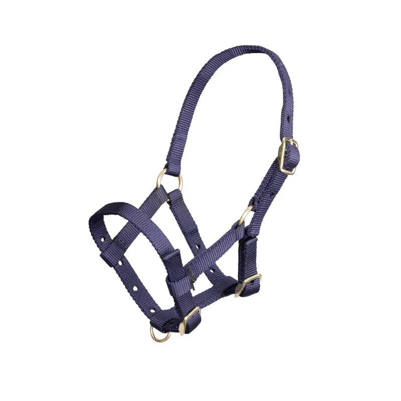 ARMA Foal Headcollar NAVY