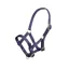 ARMA Foal Headcollar NAVY