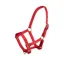 ARMA Foal Headcollar RED