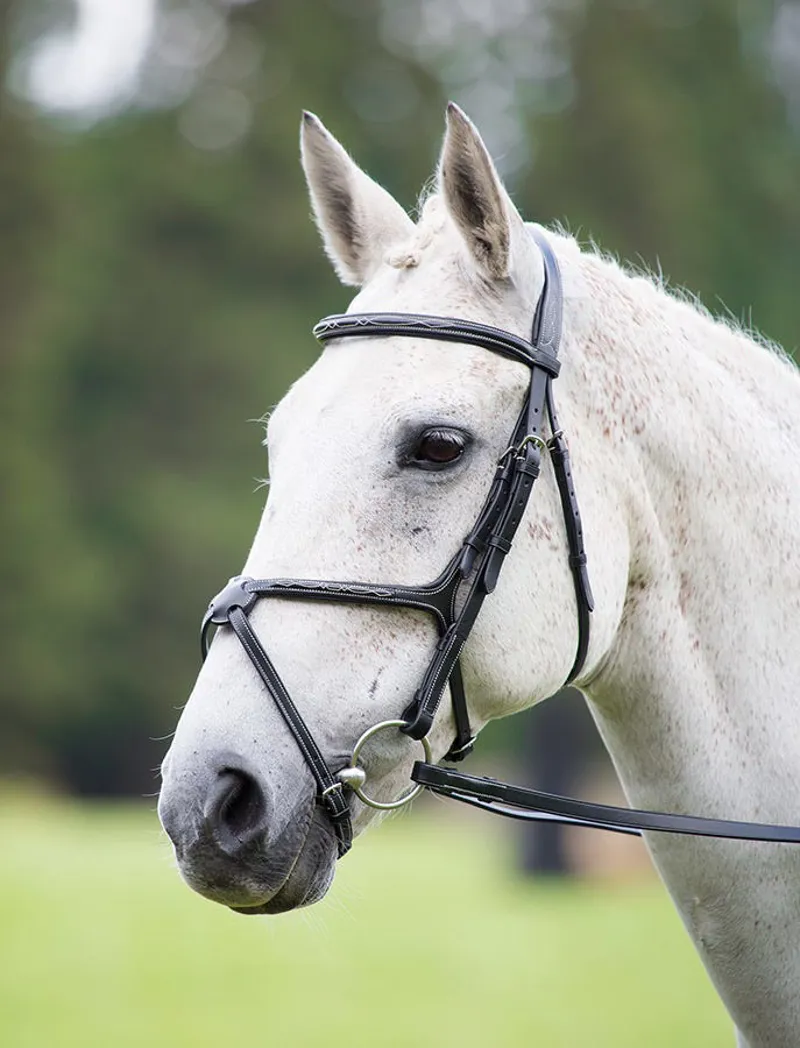 Avignon Grackle Bridle in Black