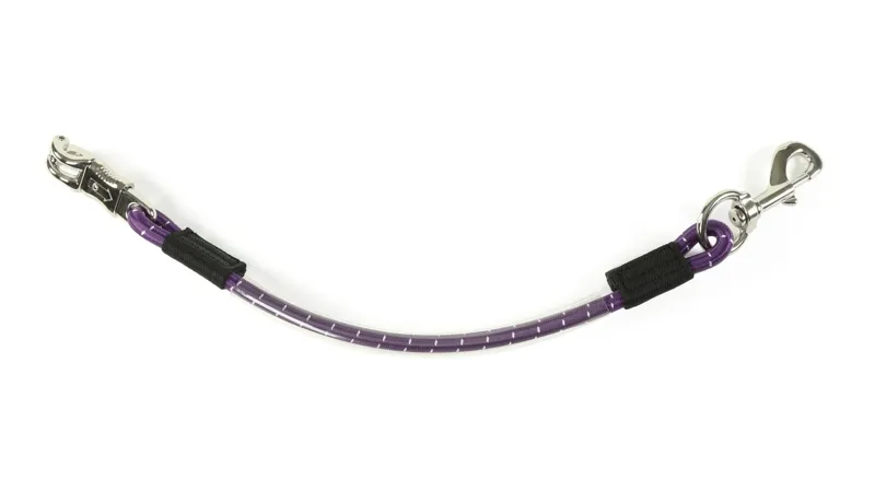 Heavy Duty Bungee Trailer Tie PURPLE one size