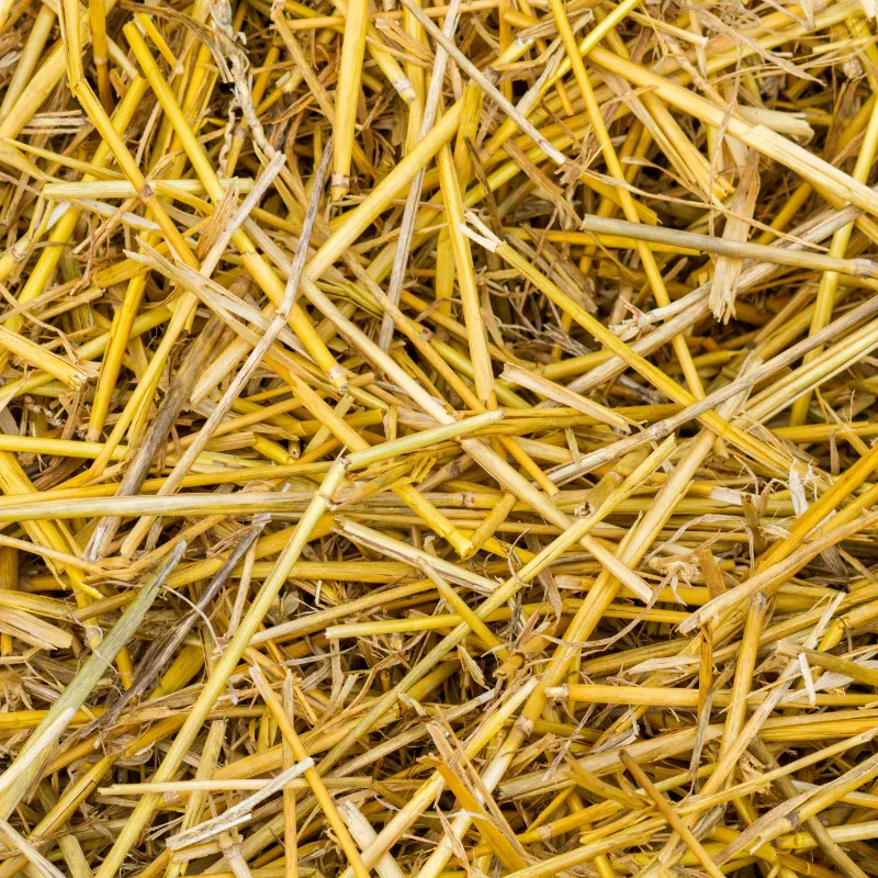 Super Straw 20kg