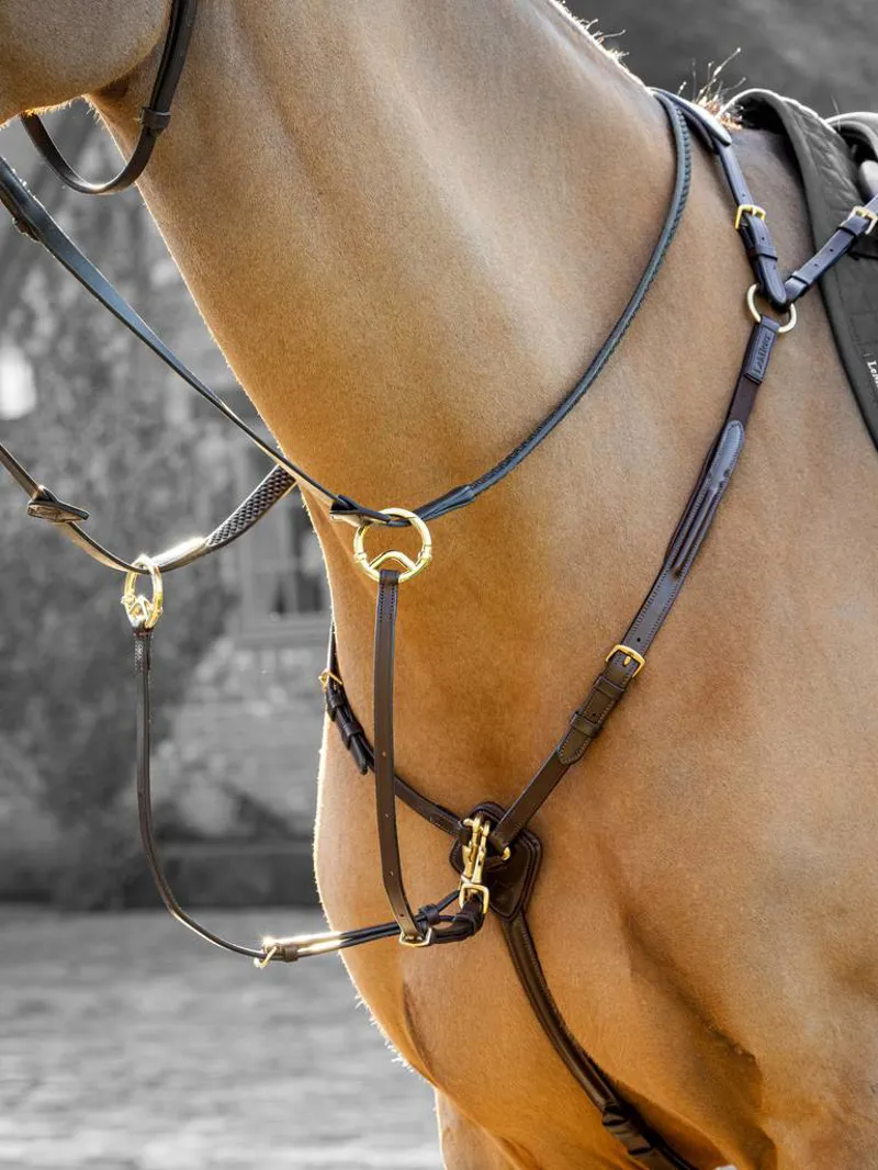 LeMieux Breastplate with D-Ring Attachment in Havana/Brass-3