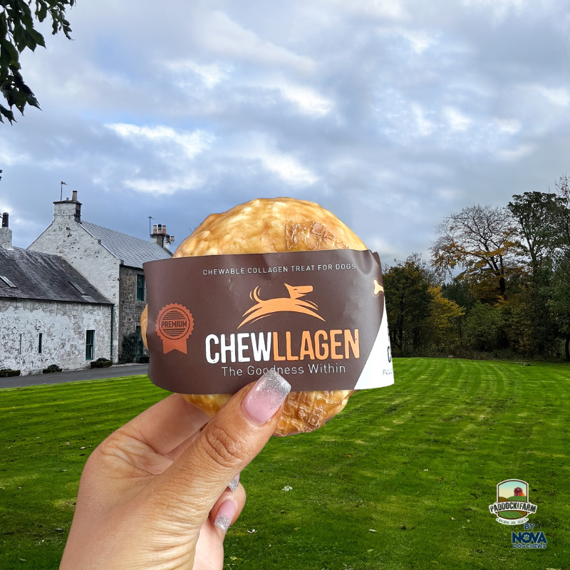 Chewllagen Small Donut Chicken 3.5in-1