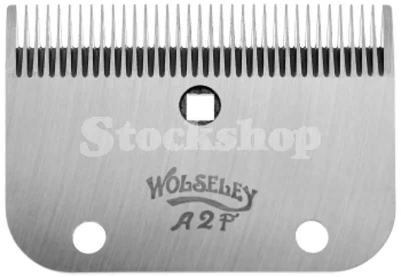Wolseley A2F Fine/Surgical