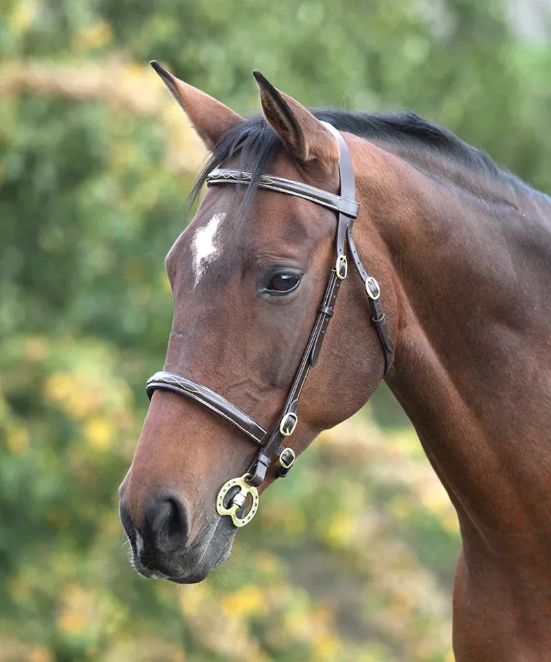 Velociti GARA Fancy Stitched Inhand Bridle BLACK