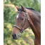 Velociti GARA Fancy Stitched Inhand Bridle BLACK