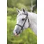 Velociti GARA Fancy Stitched Inhand Bridle HAVANA