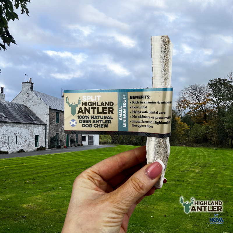 Highland Split Deer Antler Small-1