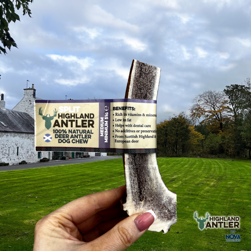 Highland Split Deer Antler Medium-1