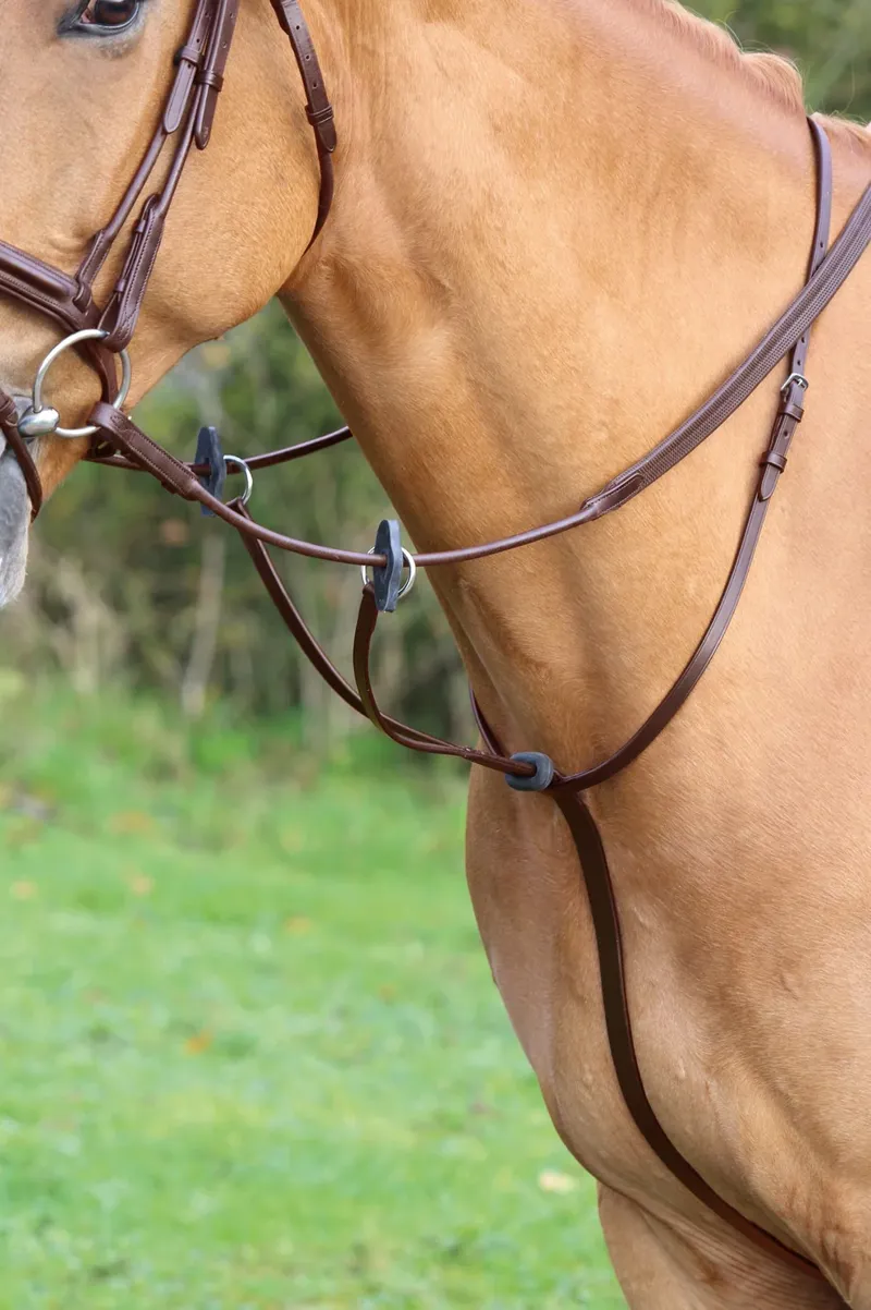 Velociti GARA Running Martingale HAVANA
