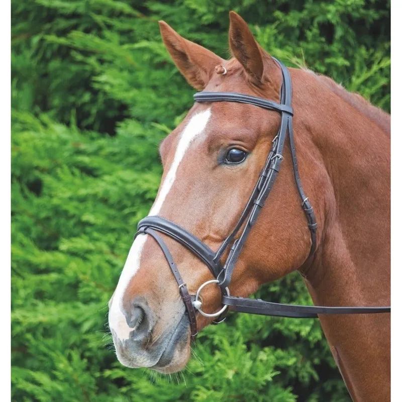 Aviemore Comfort Bridle Pony in Havana