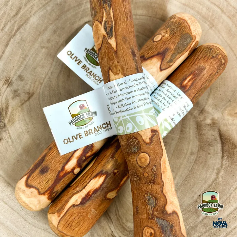 Paddock Farm Olive Branch Chew Large