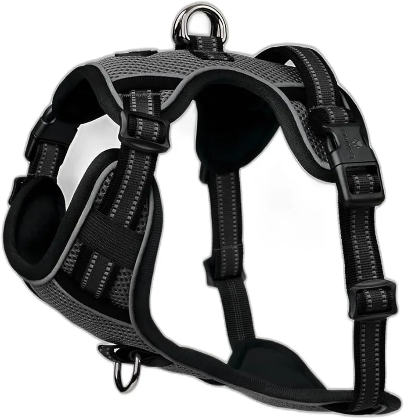 LeMieux Winchester Dog Harness Black