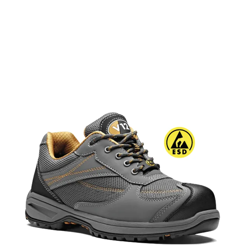 V12 Turbo IGS Grey Trainer