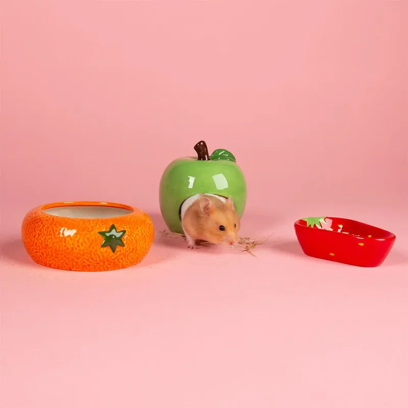 Scruffs Small Animal Ceramic Set Fruit