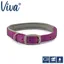 Ancol Viva Padded Collar Purple