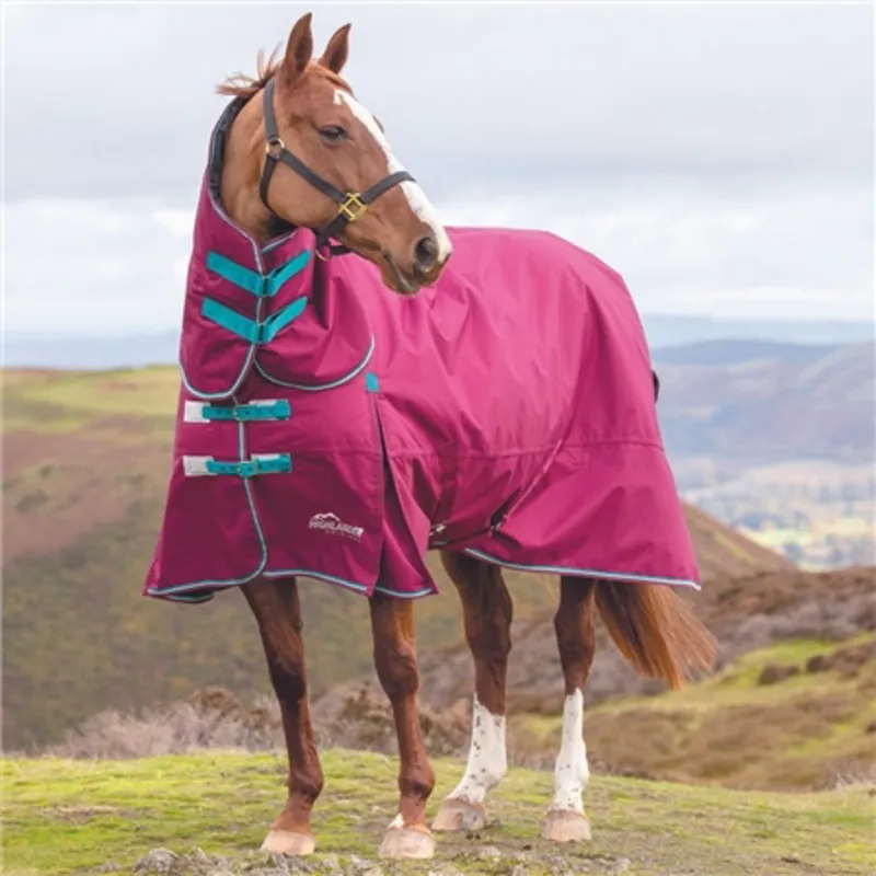Highlander Original Turnout Combo 300g Rug in Raspberry