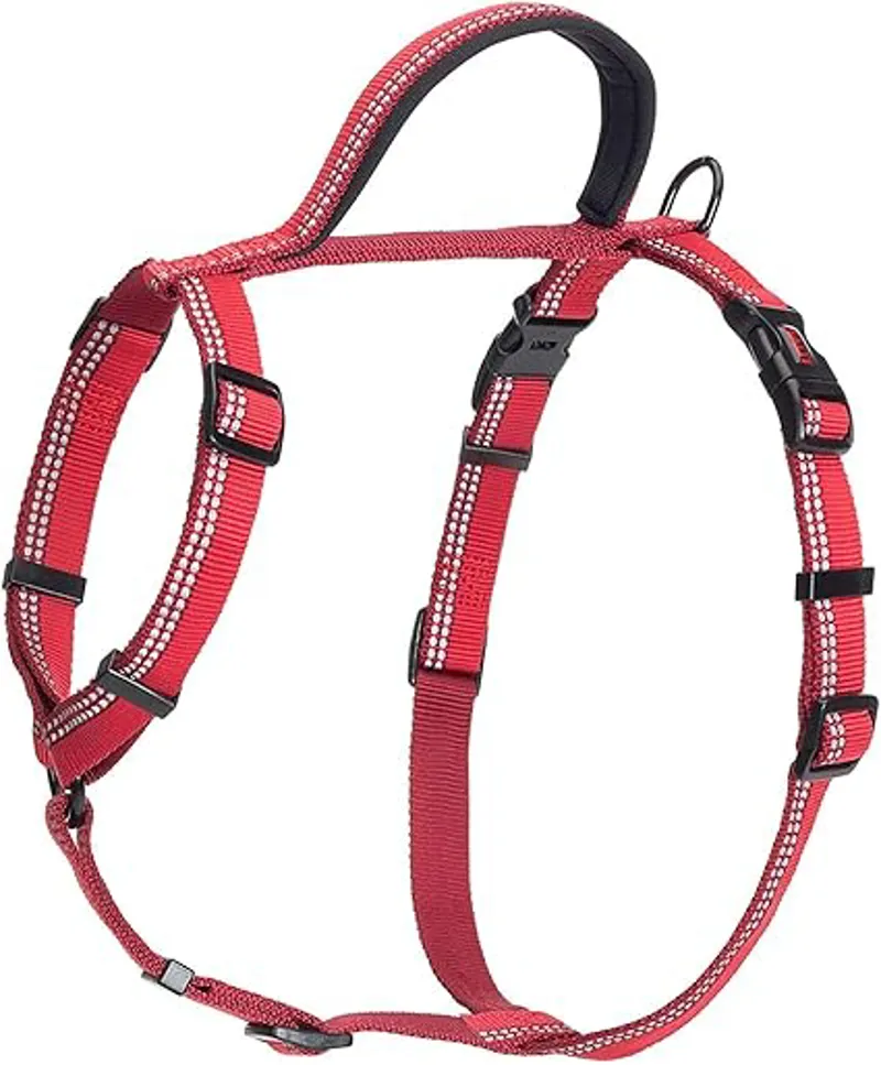 Company Of Animals Halti Walking Harness Red