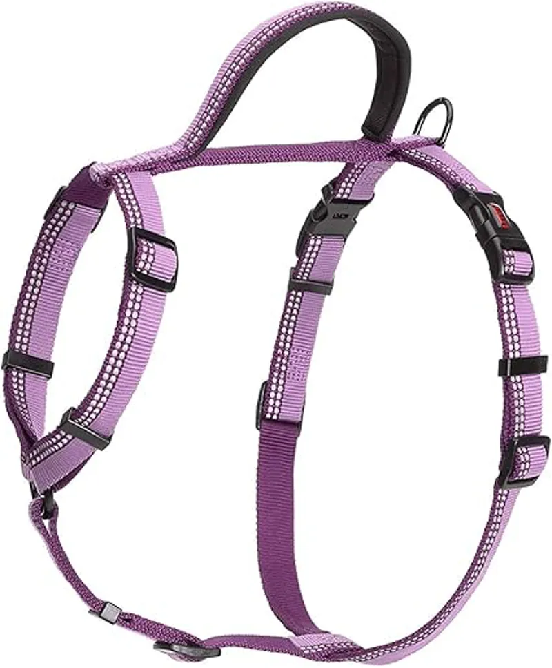 Company Of Animals Halti Walking Harness Purple