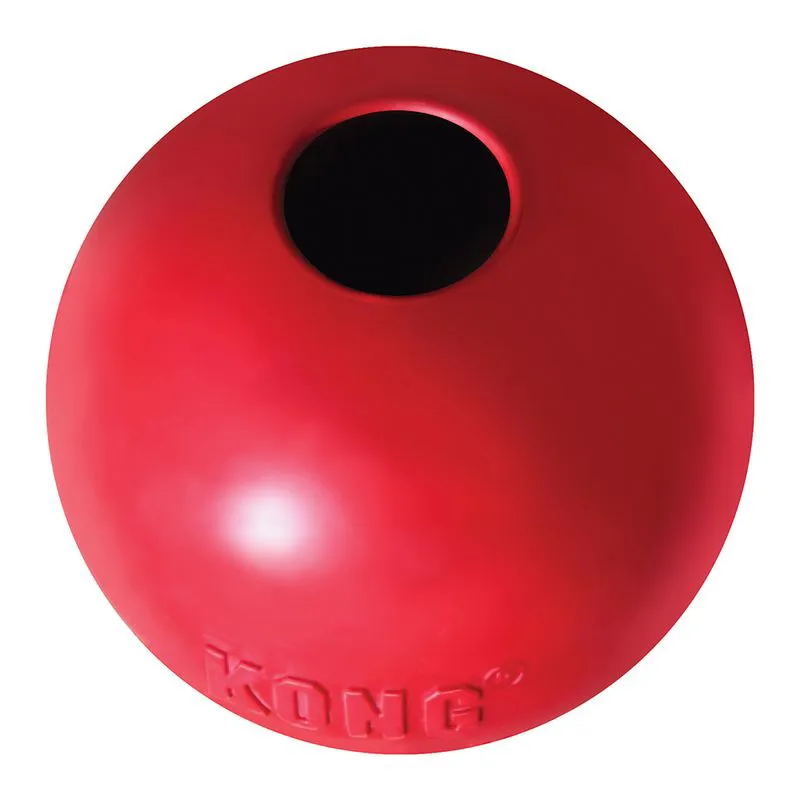 KONG Ball Medium/Large-1