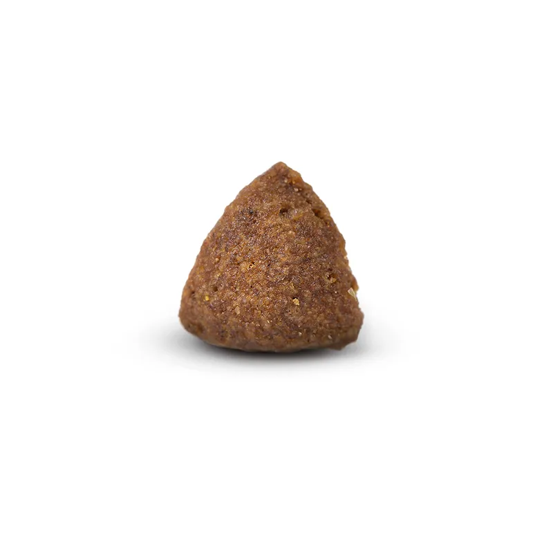 Arden Grange Mini Adult Chicken and Rice-1