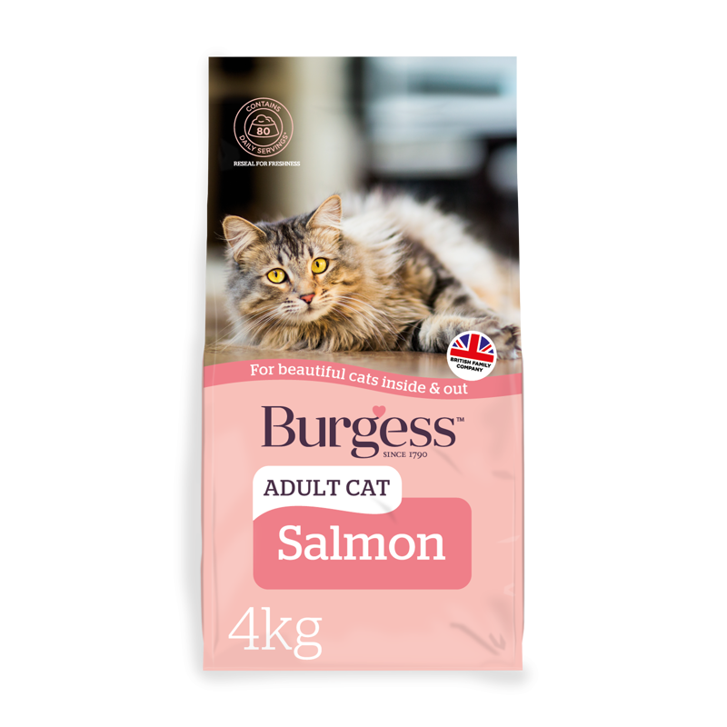 Burgess Adult Cat Scottish Salmon-1