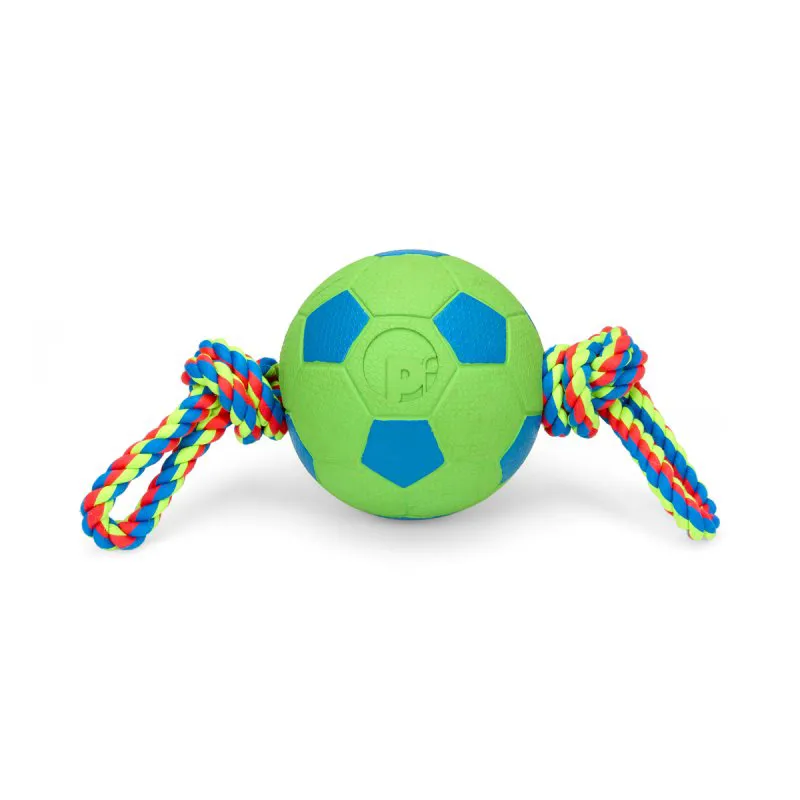 PetFace Toyz and Kick Ball Dog Toy