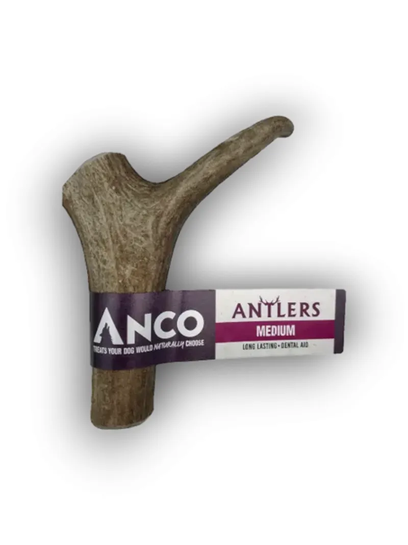Anco Antler Medium