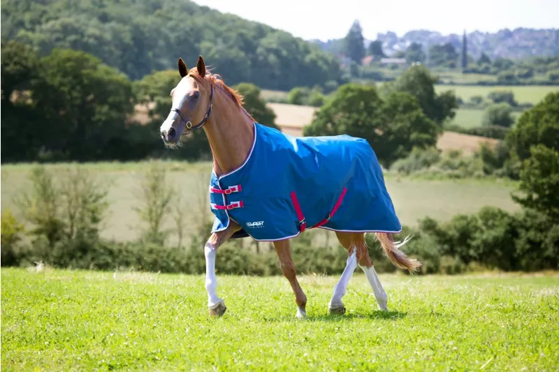 Tempest Original Lite Turnout Rug in Teal