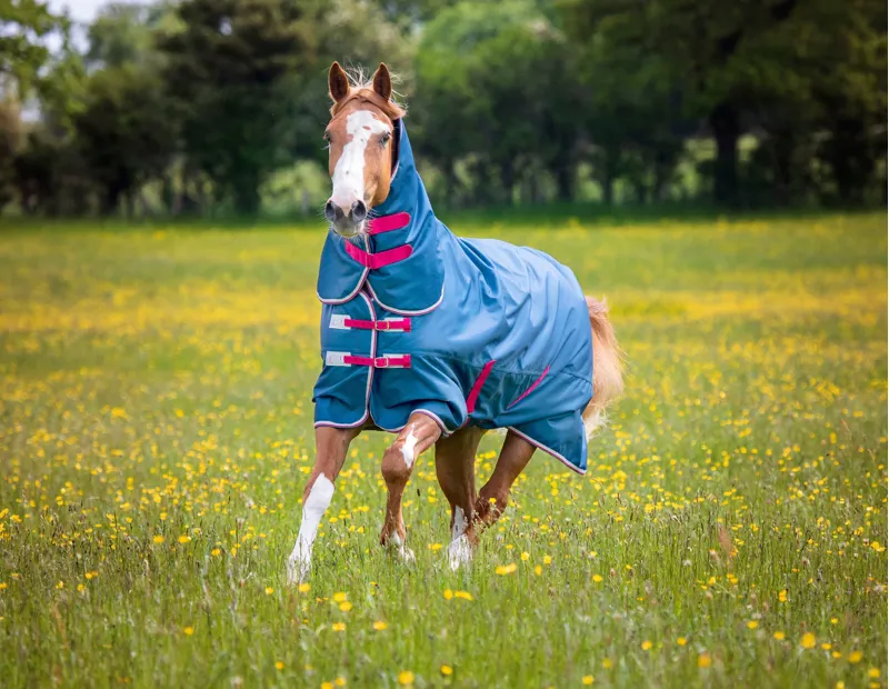 Tempest Original Lite Turnout Combo Rug in Teal