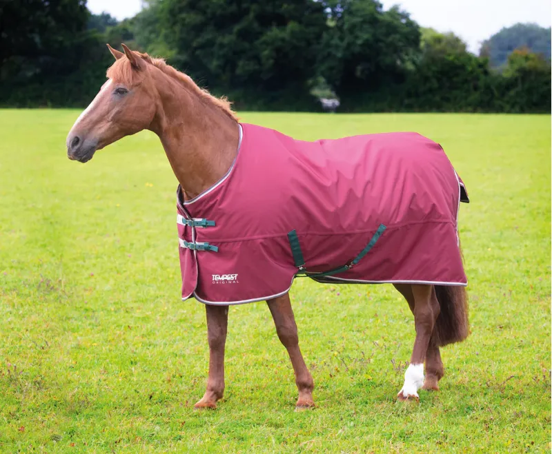 Tempest Original Turnout Rug 200g in Maroon