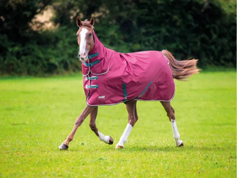Tempest Original Turnout Combo Rug 200g in Maroon