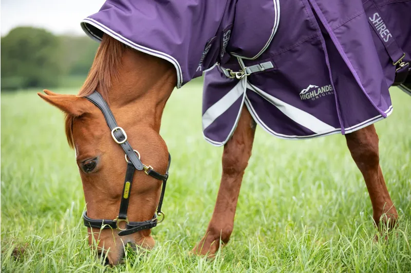 Highlander Original 100 Turnout Rug and Neck Set in Plum-1