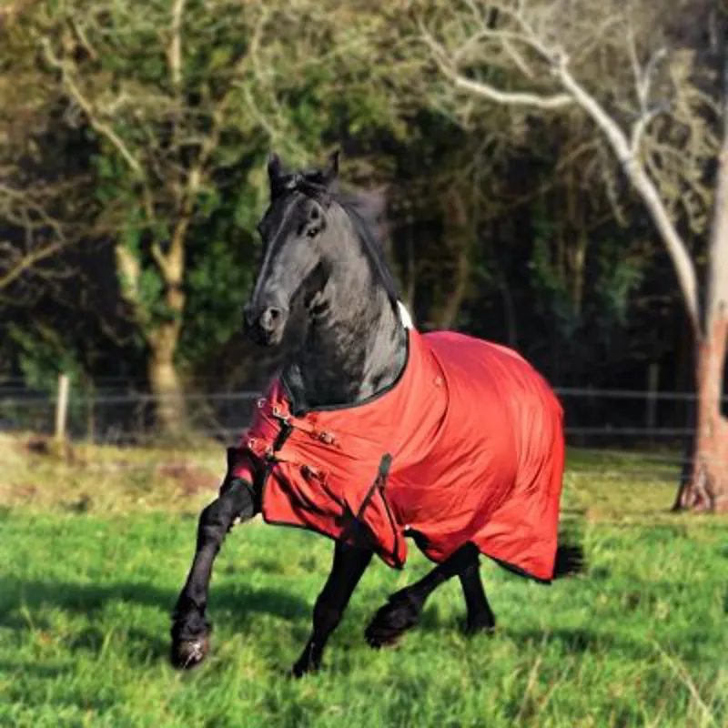 Legacy No Neck 100g Stable Rug