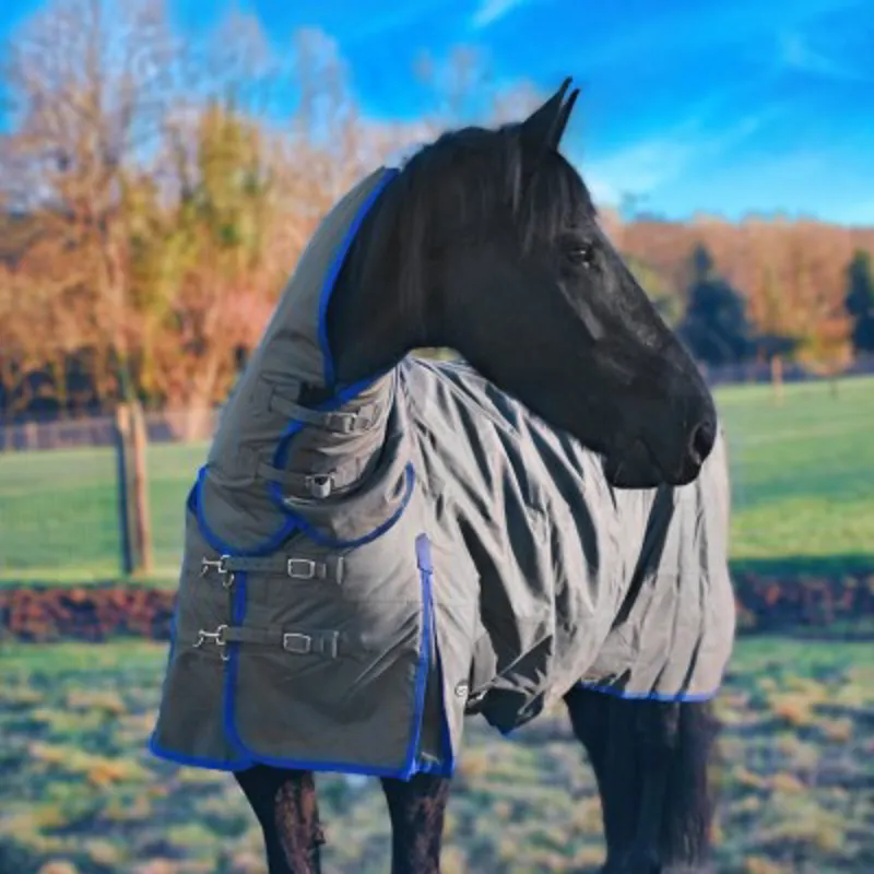 Legacy 200g Combo Stable Rug
