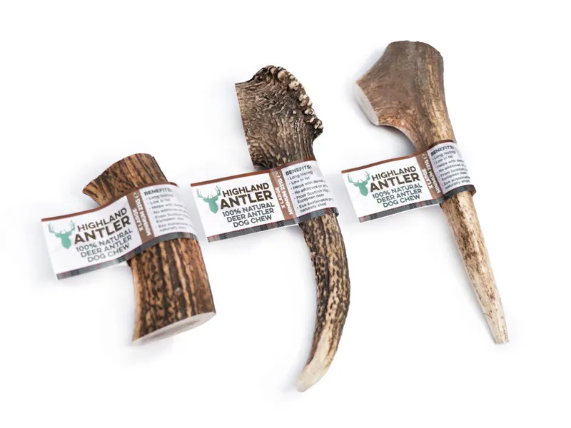 Highland Deer Antler X-Large-1