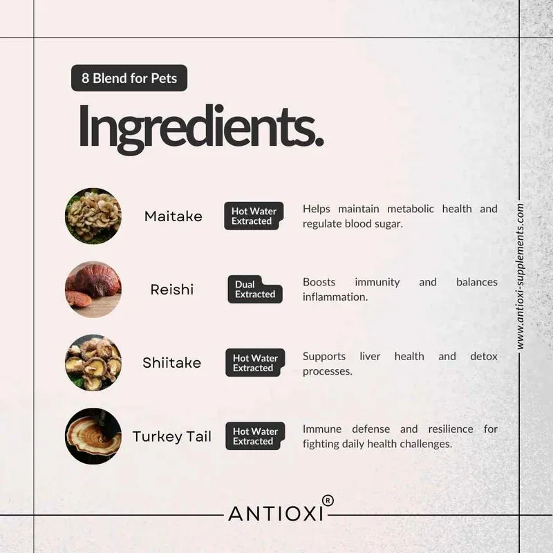 Antioxi 8 Mushroom Pet Blend-2