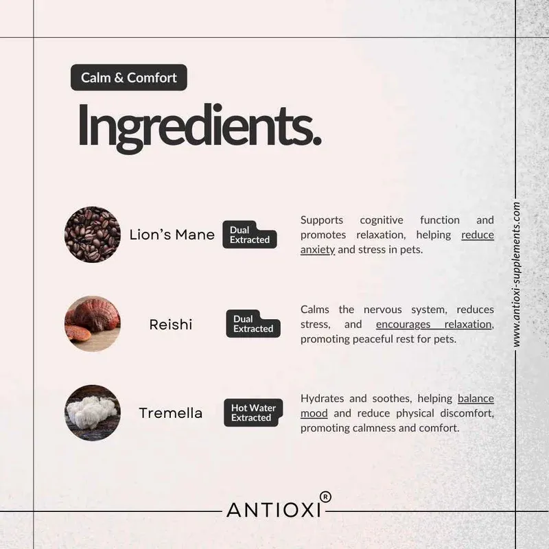 Antioxi Anxiety Relief for Pets-1