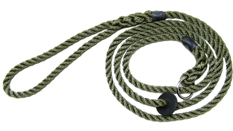 Bisley Deluxe Slip Lead Green