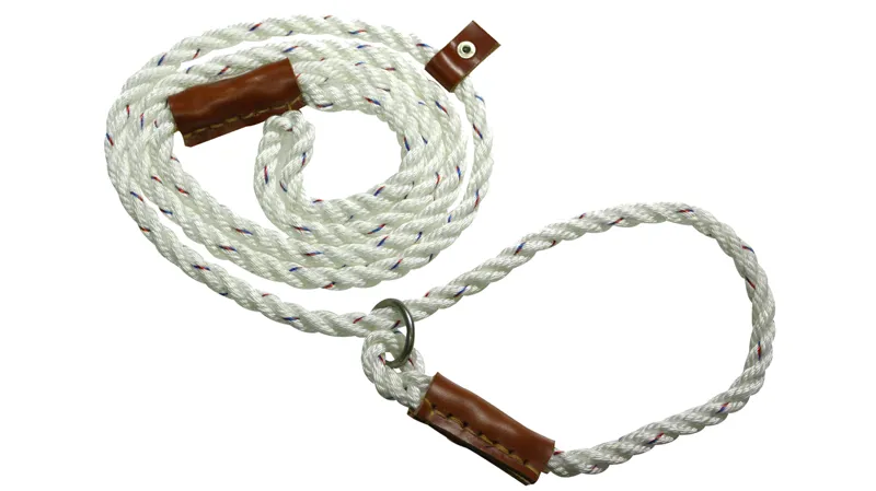 Bisley Field Trial Lead