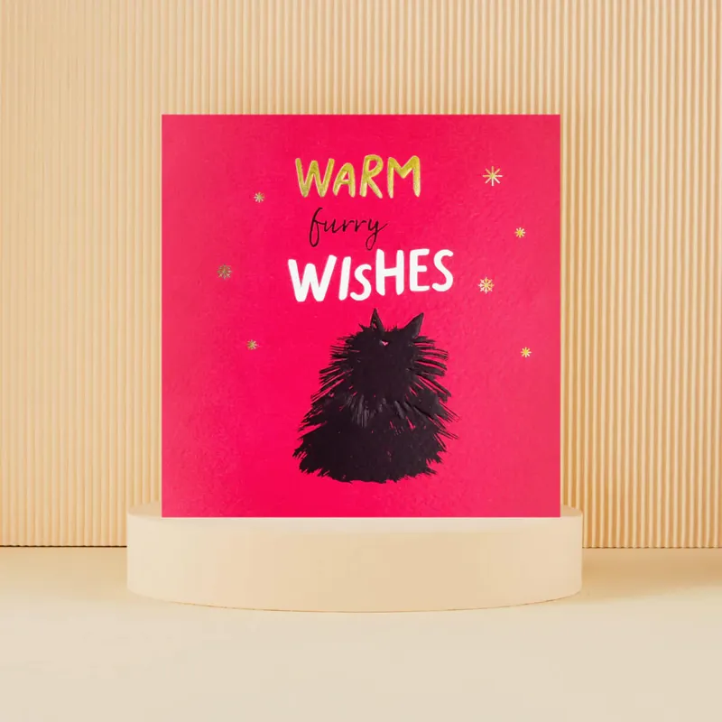 Cardology Warm Furry Wishes Cats Card-1